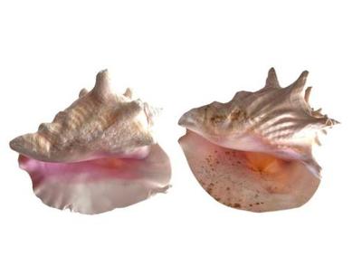 Sale Photo Thumbnail #168