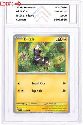 Sale Photo Thumbnail #10: For more information and to place your bids, kindly visit us at https://garnetgazelle.hibid.com/ BID NOW!