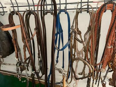 Sale Photo Thumbnail #464