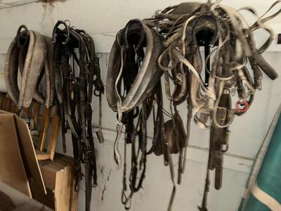 Sale Photo Thumbnail #460