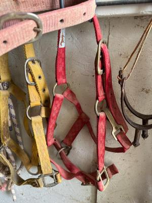 Sale Photo Thumbnail #494