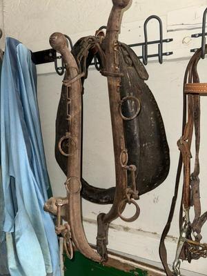 Sale Photo Thumbnail #463