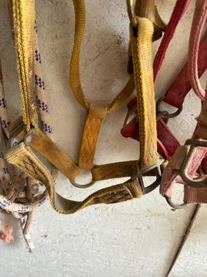 Sale Photo Thumbnail #491