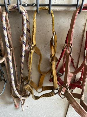 Sale Photo Thumbnail #492