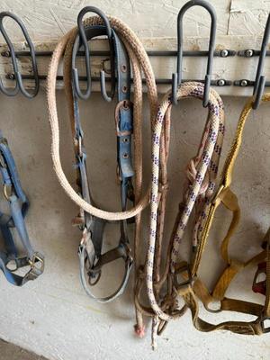 Sale Photo Thumbnail #490