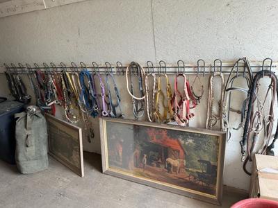 Sale Photo Thumbnail #501