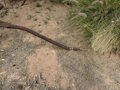 Sale Photo Thumbnail #370