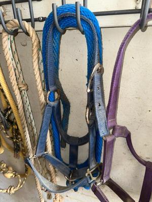 Sale Photo Thumbnail #488