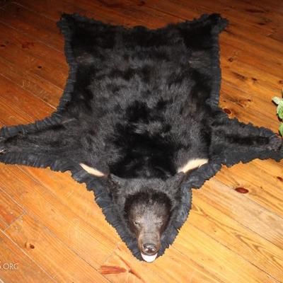 black bear skin rug
