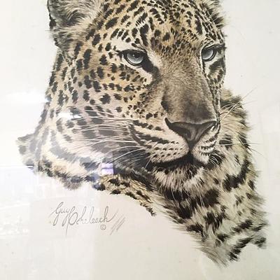 Guy Coheleach print of Chinese Leopard