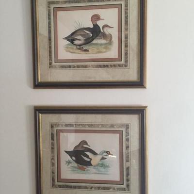 Antique Morris Duck Prints Matted with French Paper