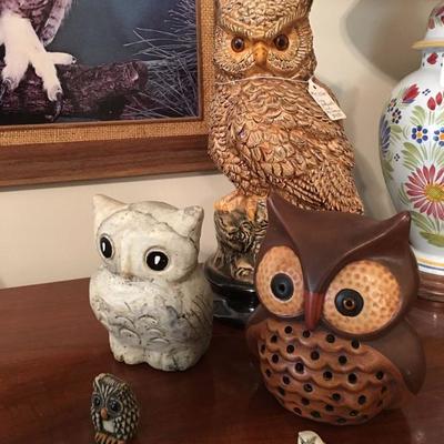 Collection of Owls