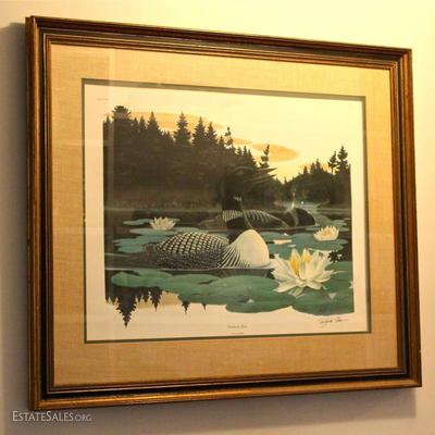 "Common Loon" lithograph by Richard Sloan