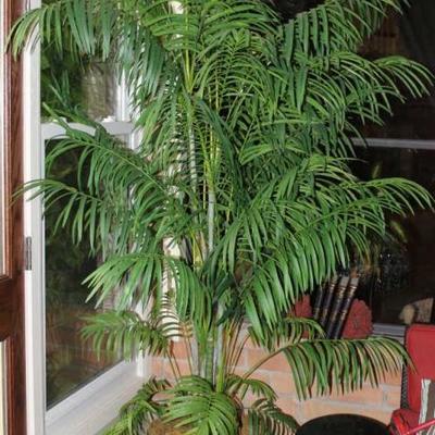 Full sized artificial indoor potted tree.
