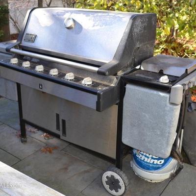 Weber Summit Gold grill