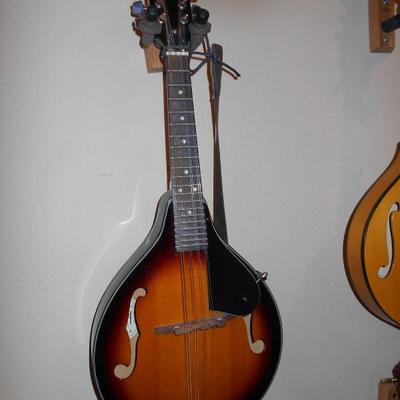 Washburn/M-1SK  YB04070285/Mandolin/8 String