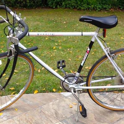 Murray Sebring Bicycle
