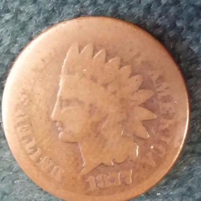 Rare 1877 Indian Head Cent