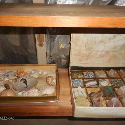PART OF COLLECTION OF ROCKS AND SHELLS