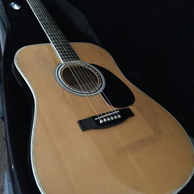 Esteban guitar with case and amp