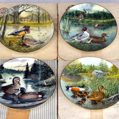 4 Duck Collector Plates with COAs