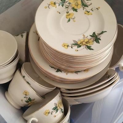 Vintage Edwin Knowles China - Buttercup pattern 
