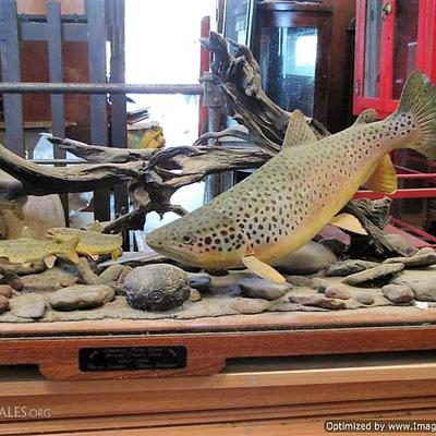 Franz Dutzler Sculpture a master wood sculpturer world renowned for his trout carvings.