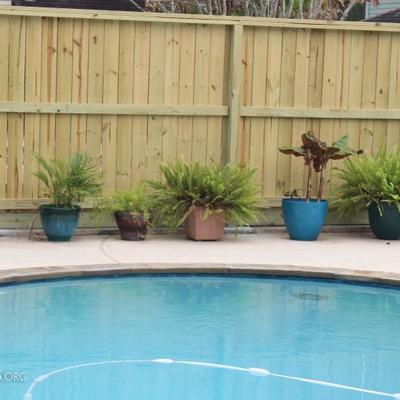 Potted plants