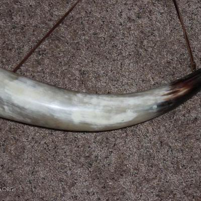 cow horn