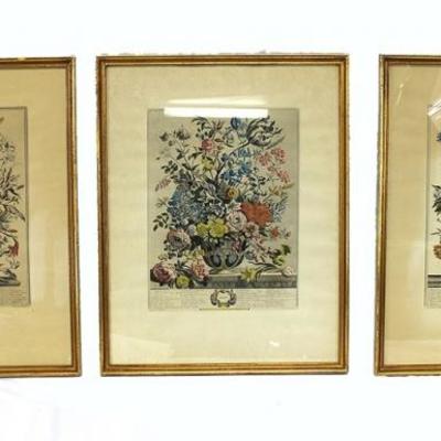Antique set of 3 Framed Botanical Engravings
