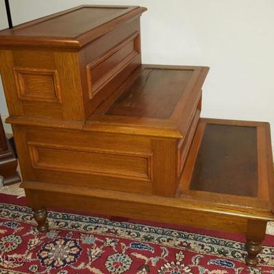 Bed Steps with a hidden potty.