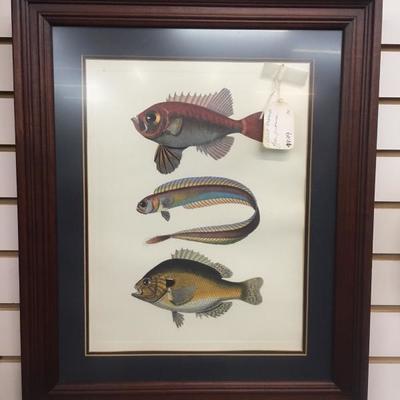 Fish art
