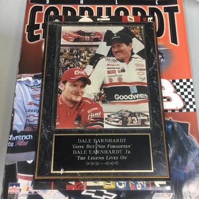 Dale Earnhardt collection