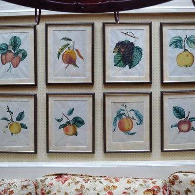 12 Antique fruit prints total