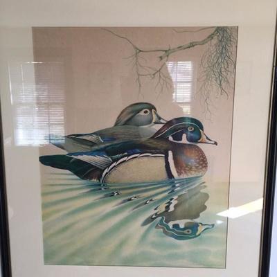 antique waterfowl lithographs