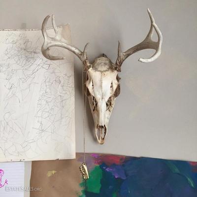 deer skull & children's drawings
