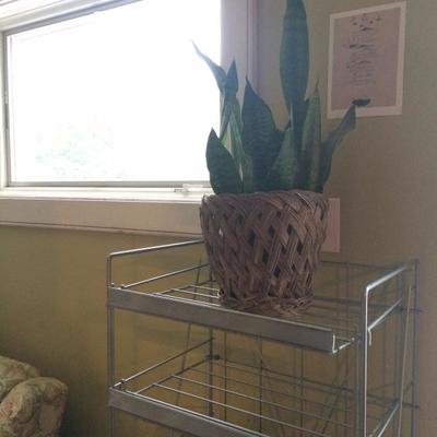 metal baker's rack on wheel - great plant stand!