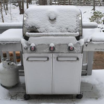 Weber Gensis gas grill
