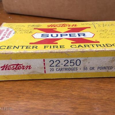 winchester 22-250 bullets