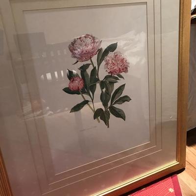pair of Beautifully Matted Tulip Prints