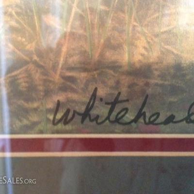 Signed Whitehead