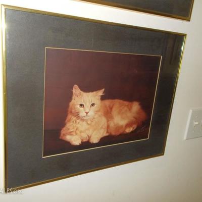 Cat photo $15