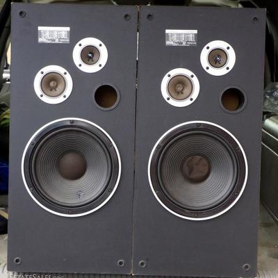 Pioneer CS-85000D Speakers