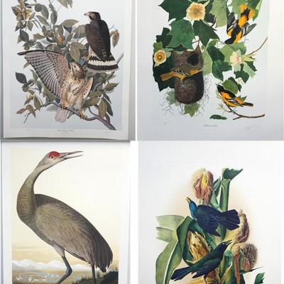 Lot 51 - Twelve Double Elephant Folio M. Bernard Loates Color Audubon Prints. All signed and numbered by the artist, edition of 1000...