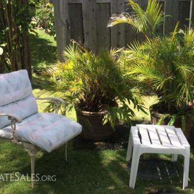 EHT249 Palm Plants, Patio Chair and Patio End Table
