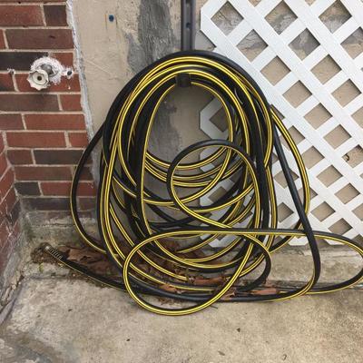 black and yellow garden hose 