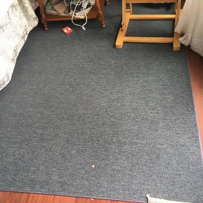  2 each 5' X 7' area rug 