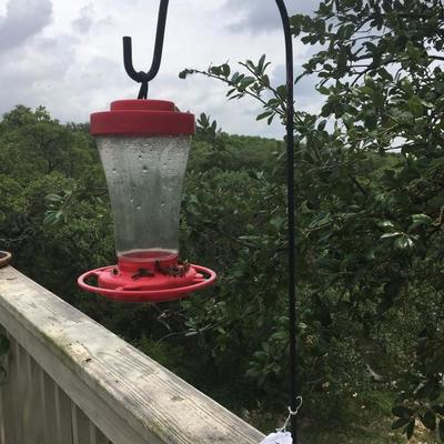 several hummingbird feeders 