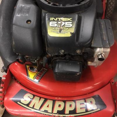 Snapper