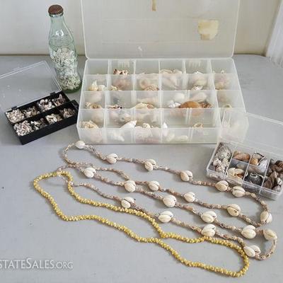 DCK021 Real Seashell Collection, Shell Lei
